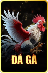 Đá gà GG88